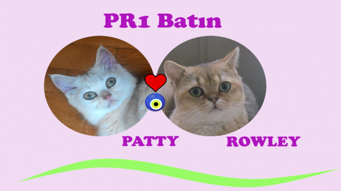 pr1 batın1
