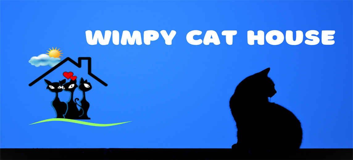 Wimpy Cat House