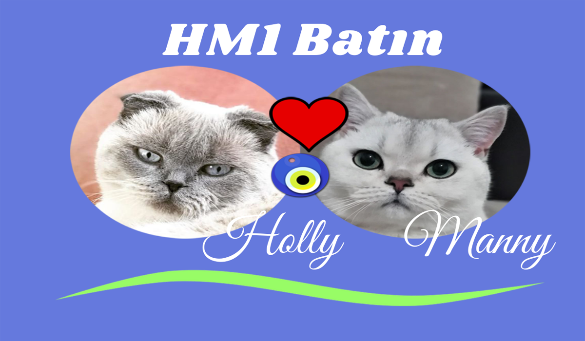 HM1